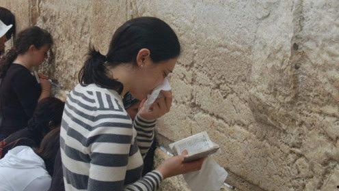 娱乐吃瓜君被骂