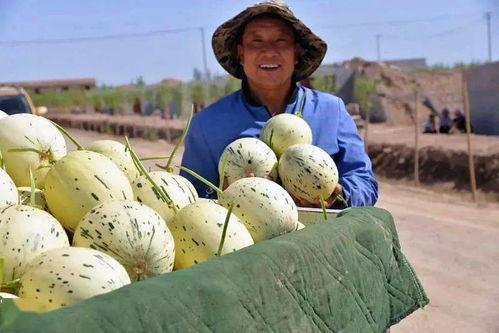 吃瓜群众在线吃瓜网